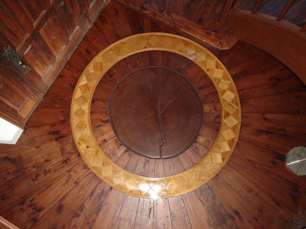 Medallion Tree Round