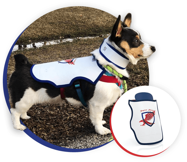 Raptor Shield Inc. - Protective Vests For Your Dogs