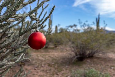 desert christmas.jpg