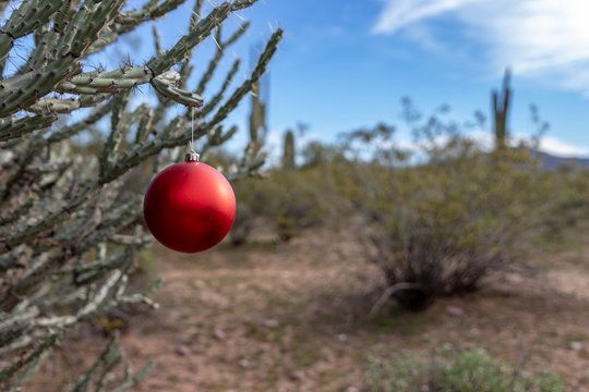 desert christmas.jpg
