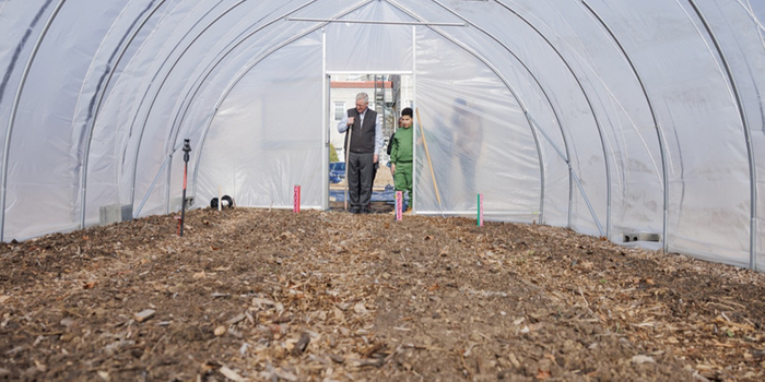 farm11.jpg