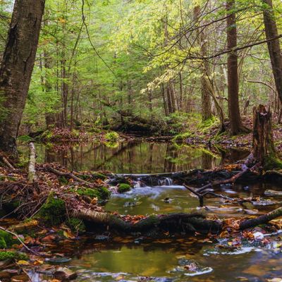 campgrounds (2).jpg