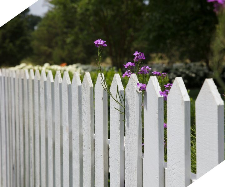 fencing fencing