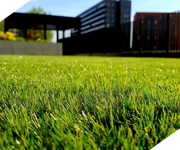 landscaped yard