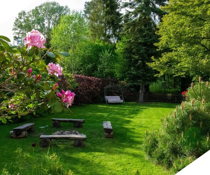 landscaped yard landscaped yard