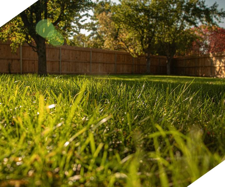 landscaped yard landscaped yard