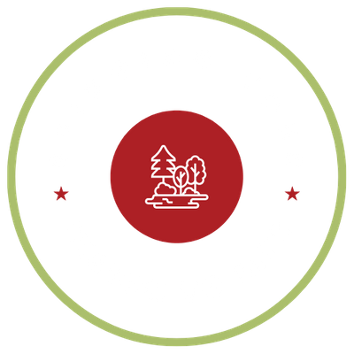 bringing your vision to life bringing your vision to life