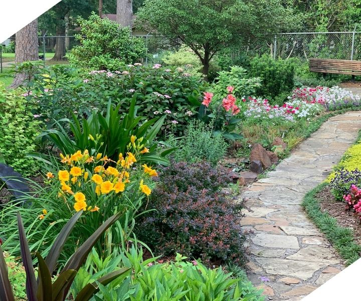landscaped yard landscaped yard
