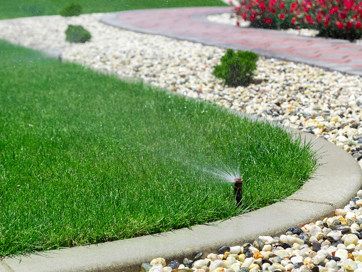 sprinklers spraying a lawn