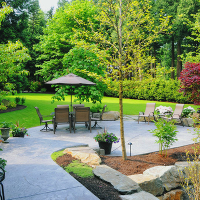 A nicely landscaped back patio