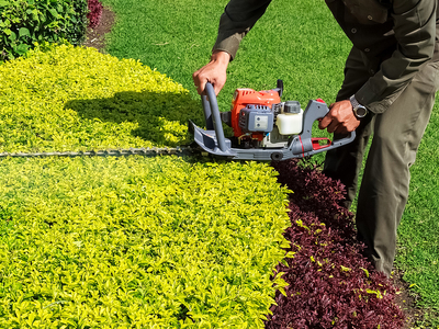 man trimming a bush