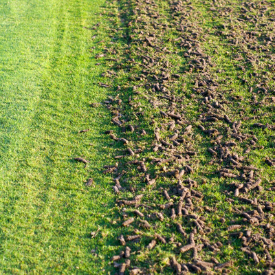 Closeup of grass with aerated section