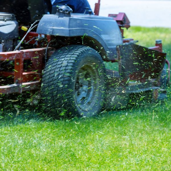 4 Things No One Warns You About When It Comes To Lawn Care   -image1.jpg