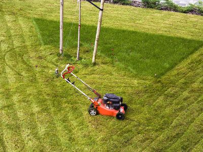 lawn mower in a partly mowed lawn