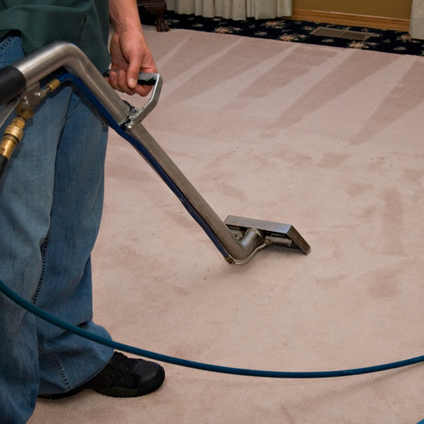 carpet cleaning carpet cleaning
