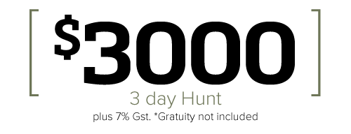 $ 3000 / 3 Day Hunt  plus 7% Gst. *Gratuity not included