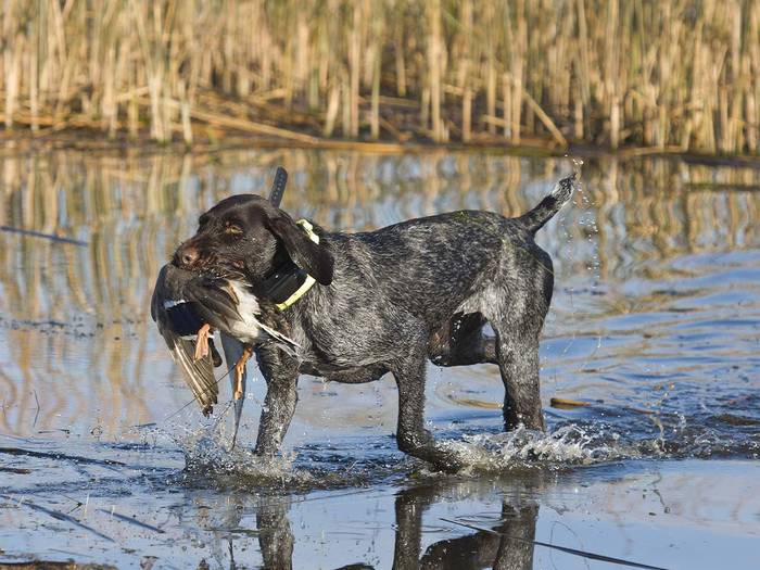 Why Field Set Ups Are Crucial To A Great Hunting Trip