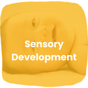 Sensory development