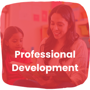 professional development
