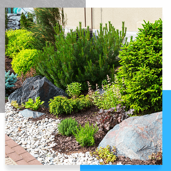 landscaping-image1032.png
