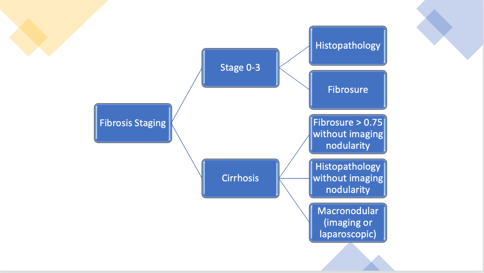 Screen Shot 2021-09-10 at 9.13.28 AM.png
