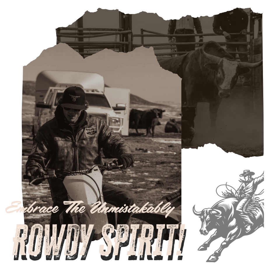 home image 1 (2).png