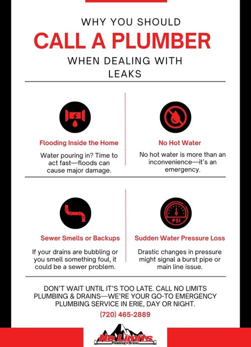WWhen Is the Right Time to Call an Emergency Plumbing Service.jpg
