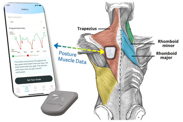 M339226 - Background Images (3).png