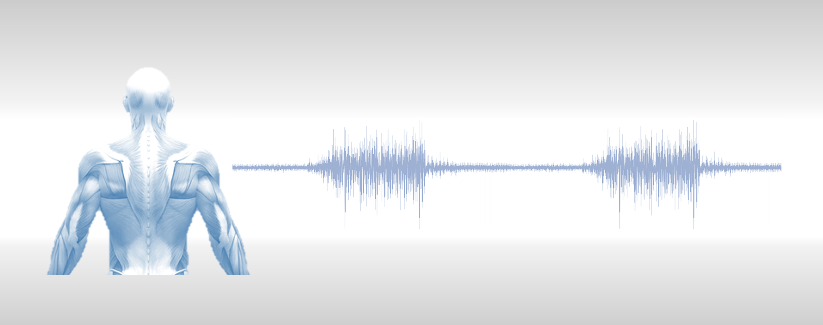 muscle sensor data.png