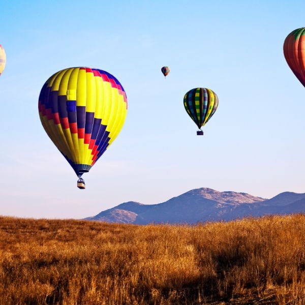 Various hot air balloons