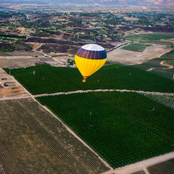 4 Types Of Air Balloon Services We Offer - Image 4.jpg