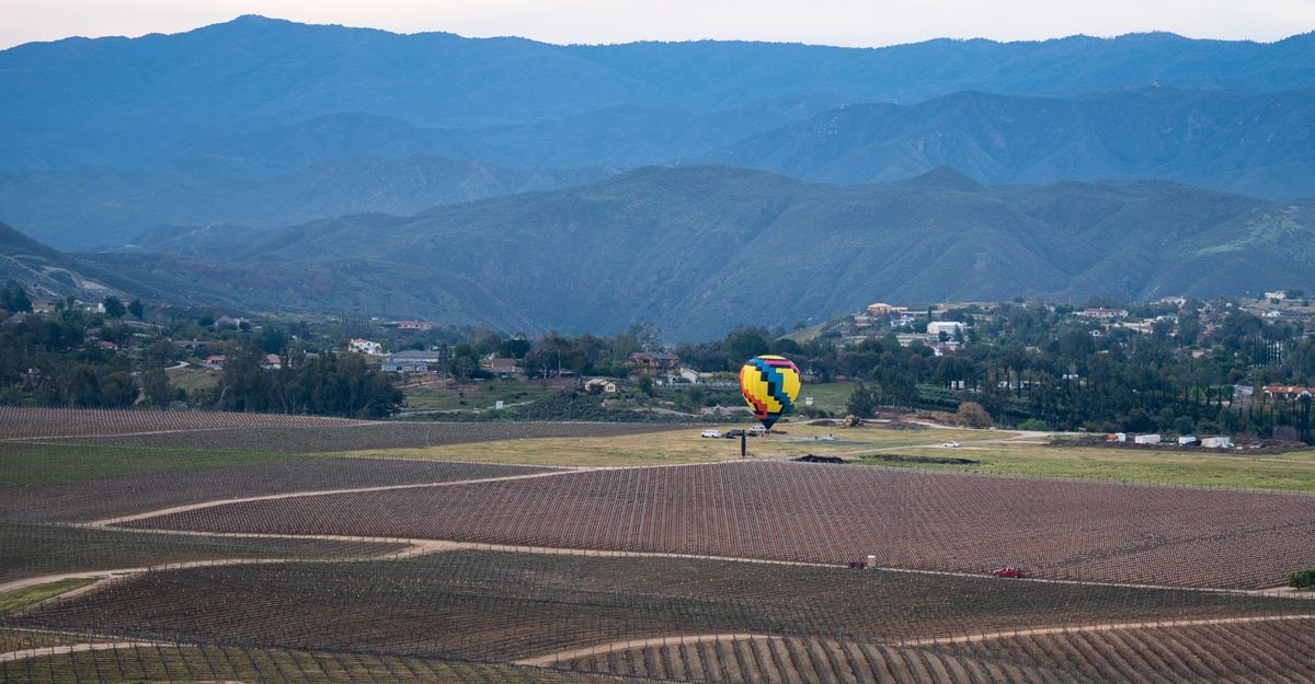 hot air balloon in the distance