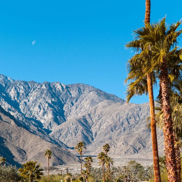 mountains in palm springs