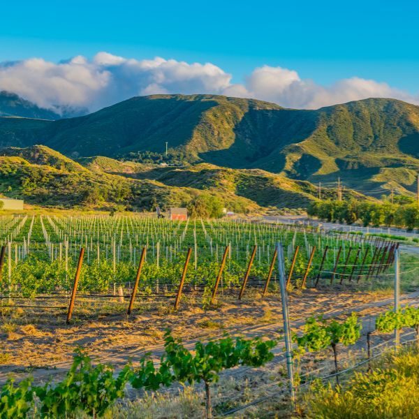 Landscape of temecula