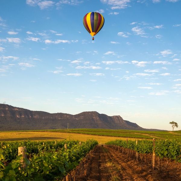 hot air balloon over beautiful scenery