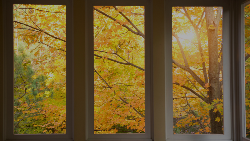 Benefits of Adding a Screened-In Porch to Your Home-Hero.png