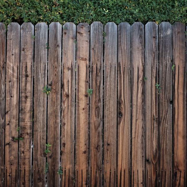 Wood fence. Wood fence.