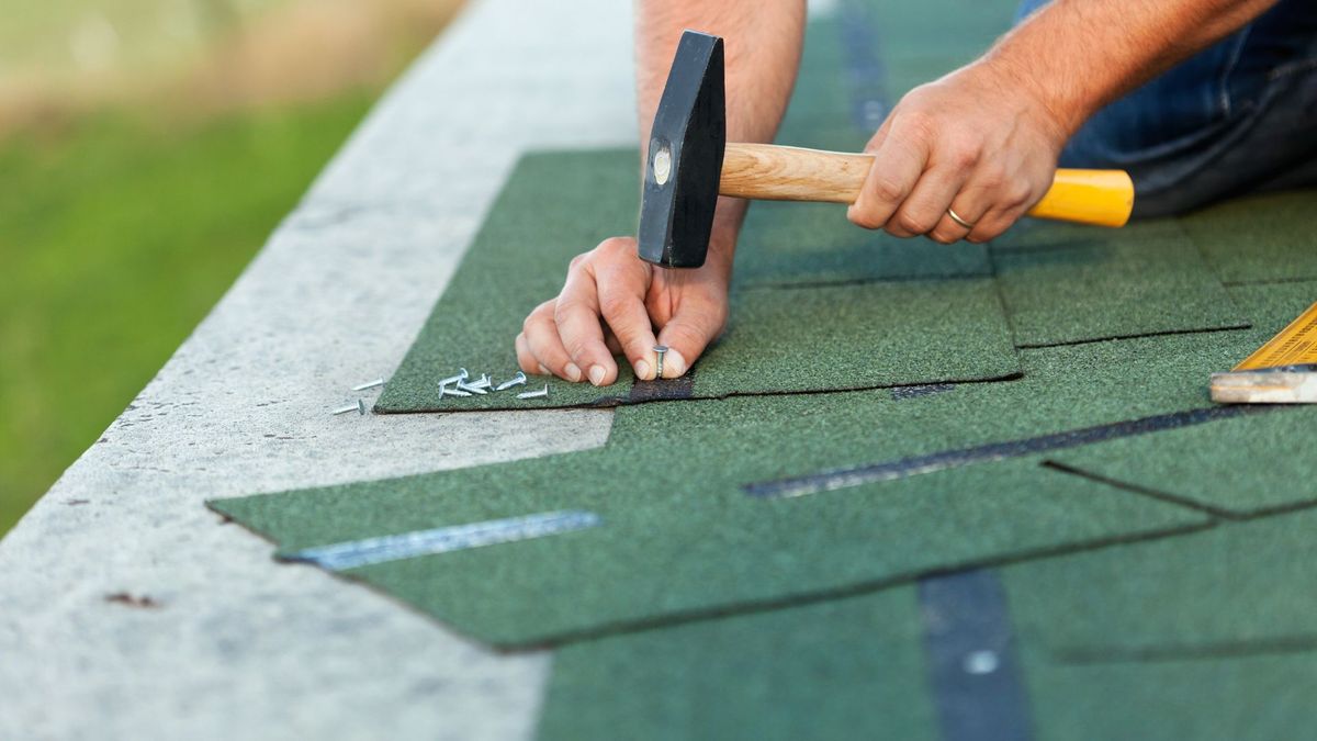 Shingles on roof