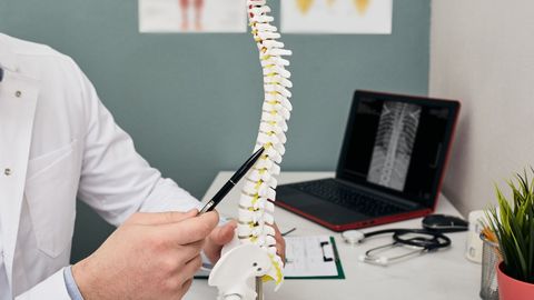 chiropractor showing spine