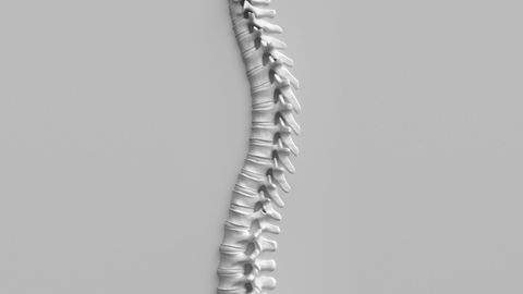 The Science Behind Spinal Adjustments Total Health and Injury Specialist Breaks It Down - header.jpg
