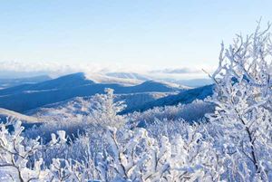 Asheville winter activities, things to do in Asheville in winter, Asheville ski resorts near town, Cataloochee Ski Area Maggie Valley, Wolf Ridge Ski Resort Mars Hill, Sugar Mountain Resort Banner Elk, Biltmore Estate winter visit, Asheville indoor activit