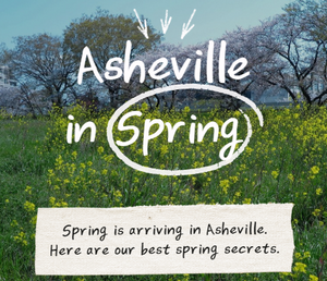 ashveille nc in spring.png
