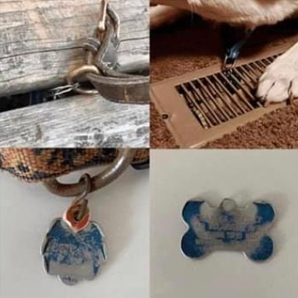worn out dog tags worn out dog tags