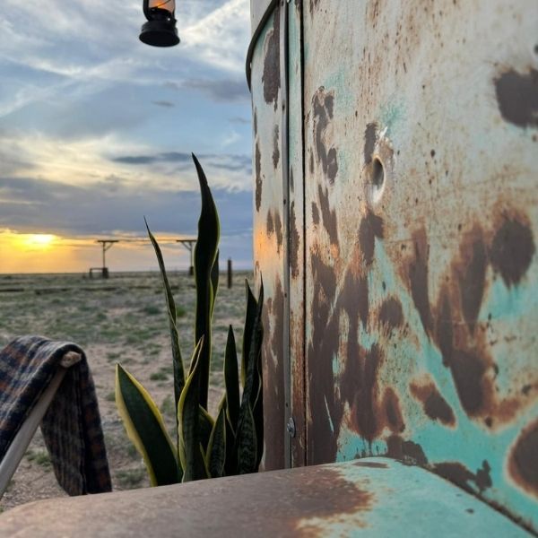 Artistic shot of mobile bar car and a snake plant