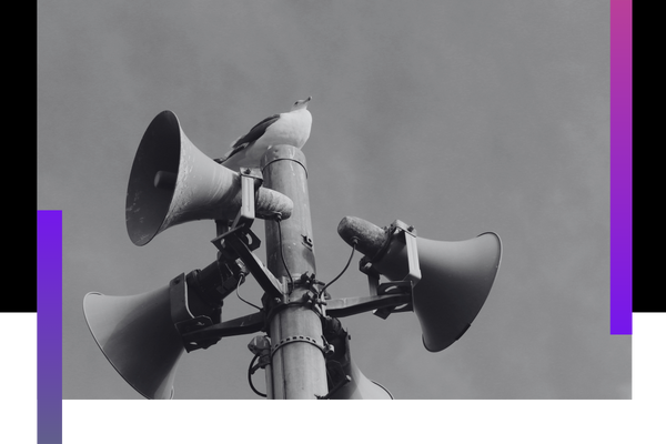 outside speakers mounted on pole PA Systems 2.png