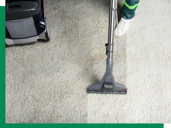 professional carpet cleaning services