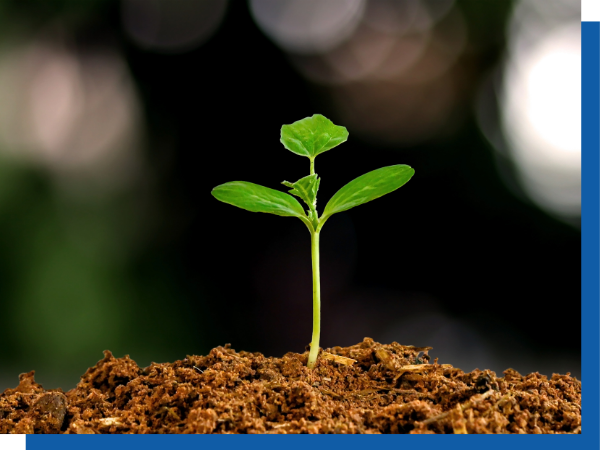 Sustainable business practices.