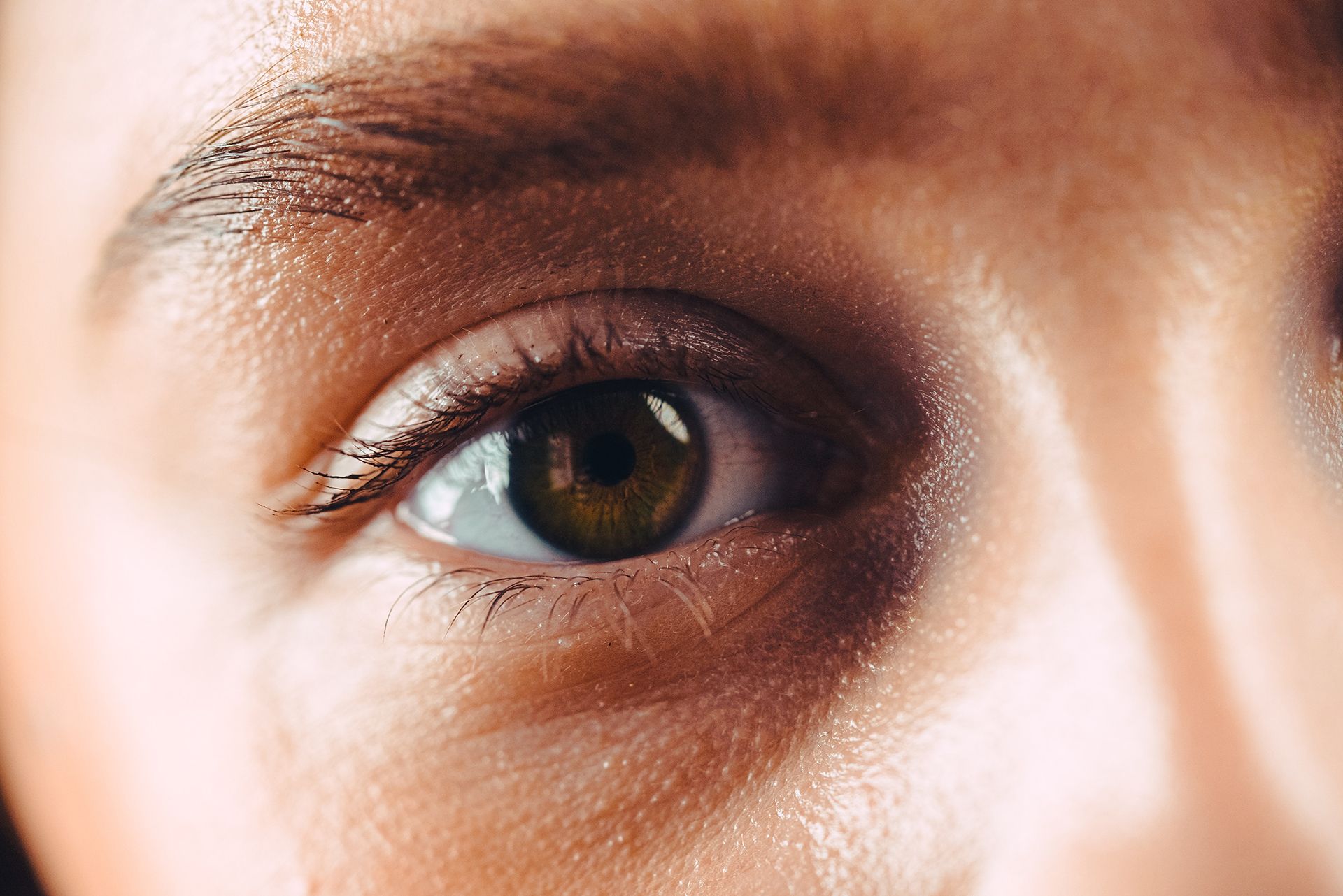 Brow and Lash Services Dahlia Skin Boutique