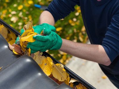 Cleaning leaves out of a rain gutter.