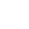 Icon Safety